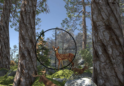 Shooting Arcade For Sale